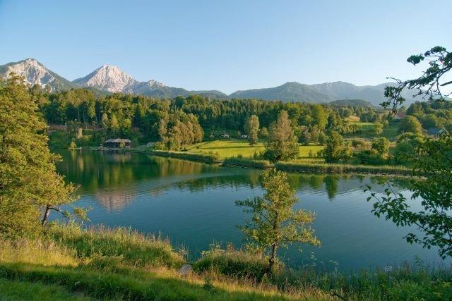ファアーク・アム・ゼーHaus Am Waldアパートメント エクステリア 写真